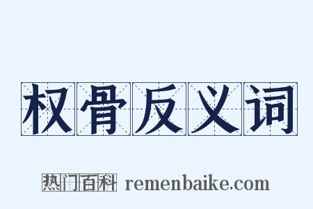 权骨反义词是什么意思的图片